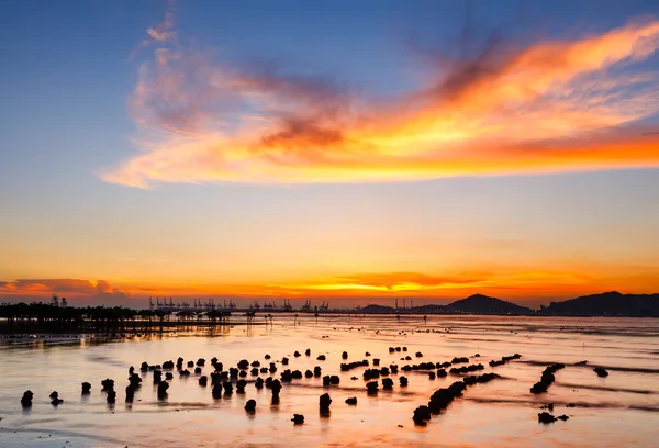 海景和日落 — 图库照片