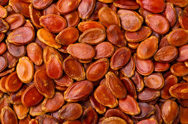 Red melon seed background