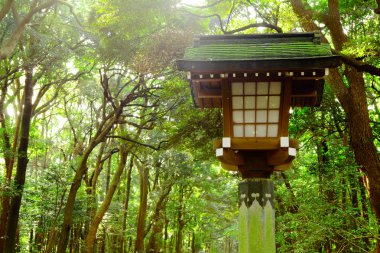 Japon fener Park