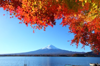 mt. fuji Güz