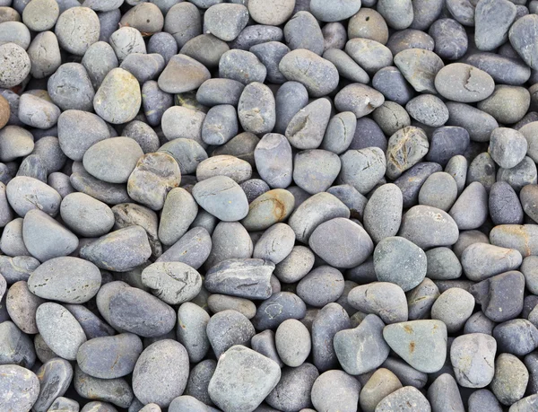 Pebble stone — Stock Photo, Image