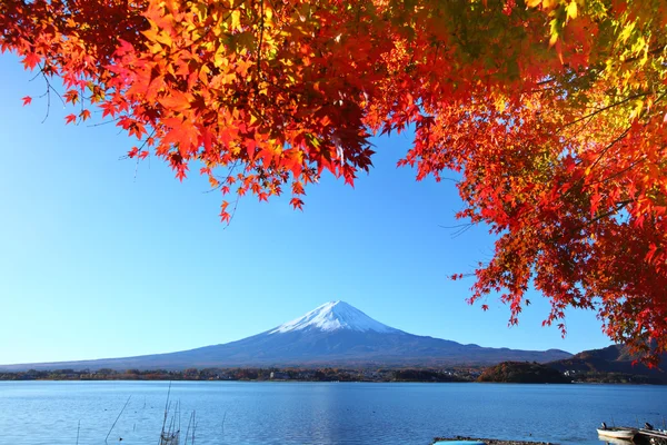 Mt. Fuji восени — стокове фото