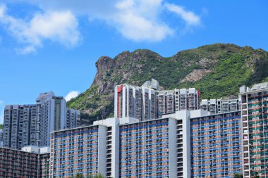 Hong kong konut dağ aslanı taşın altında