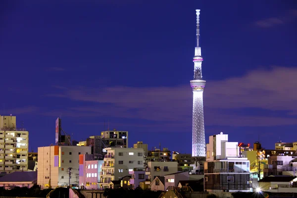 Tokyo bij nacht — Stockfoto