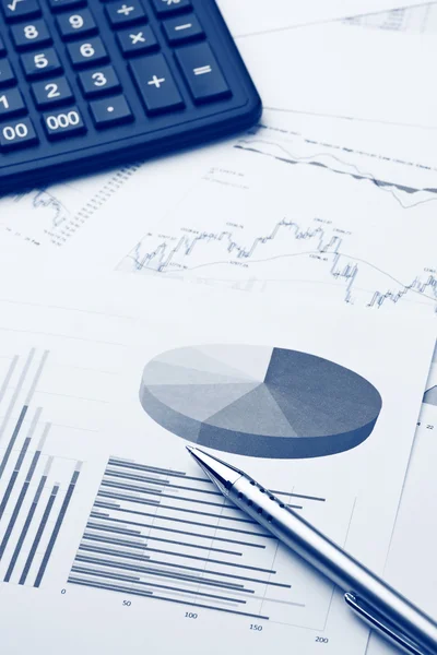 finansal rapor