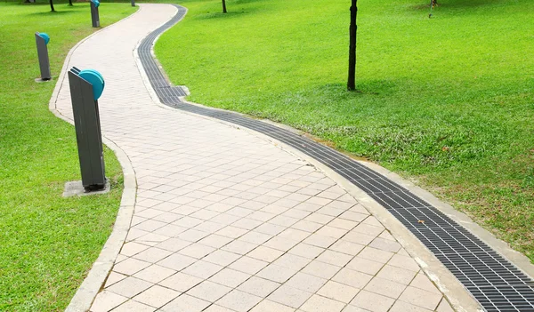 Footpath in park — Stock Photo, Image