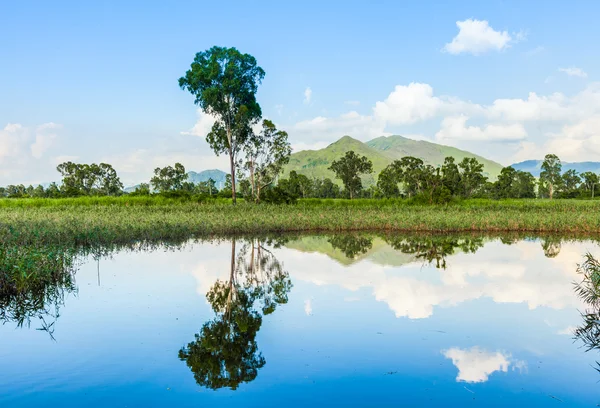 Humedales — Foto de Stock