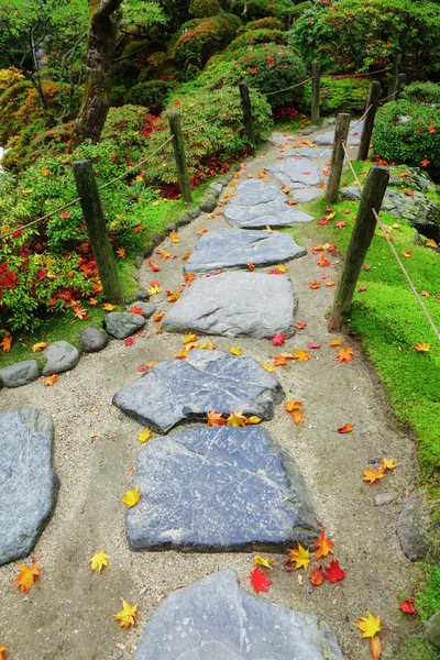 Pebble camino de piedra con hojas de arce en el jardín de Japón —  Fotos de Stock