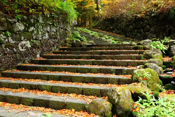 Scala di pietra — Foto Stock