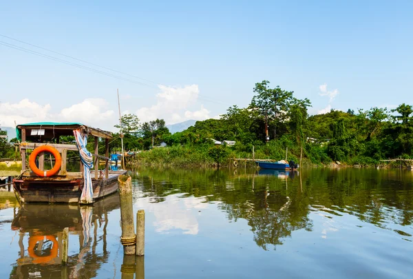 Humedales — Foto de Stock