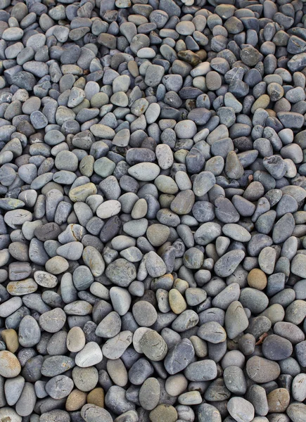 Kavicsos-kő — Stock Fotó