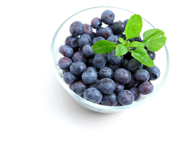 Blueberry in bowl — Stock Photo, Image