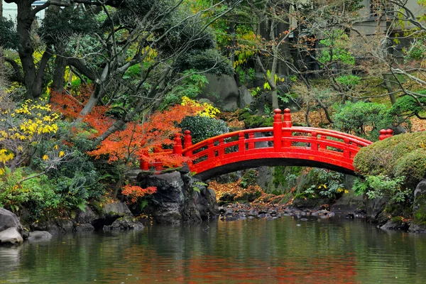 Japon Bahçesi — Stok fotoğraf