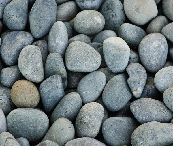 Piedra de guijarro — Foto de Stock