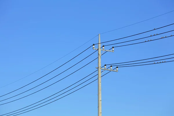 Línea eléctrica — Foto de Stock