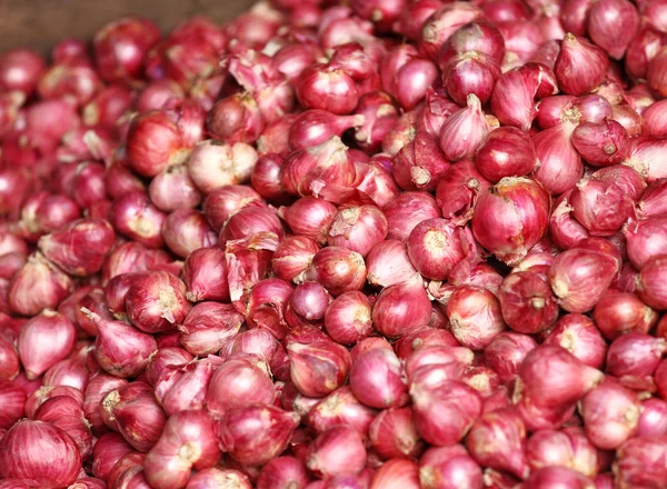 Red onion — Stock Photo, Image