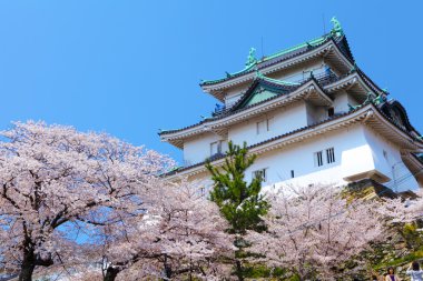 sakura Wakayama Kalesi