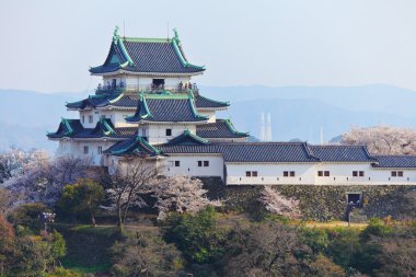 Wakayama Kalesi Japonya