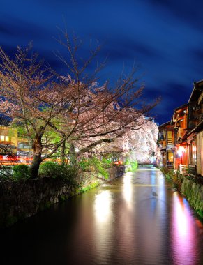Sakura ve geleneksel ev Kyoto