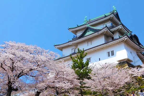 sakura Wakayama Kalesi