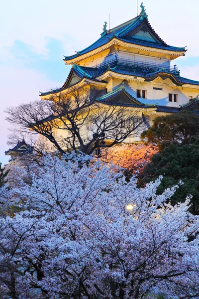 Castillo de Wakayama con sakura por la noche —  Fotos de Stock