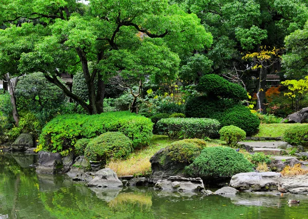 Beautiful garden in Japan — Stock Photo, Image