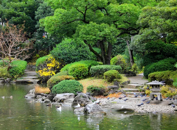 Tuin in japan — Stockfoto