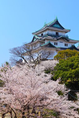 Wakayama Kalesi