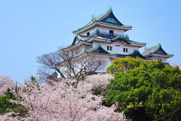 Japanische Burg in Wakayama — Stockfoto