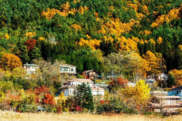 Pueblo en el bosque durante la temporada de otoño —  Fotos de Stock
