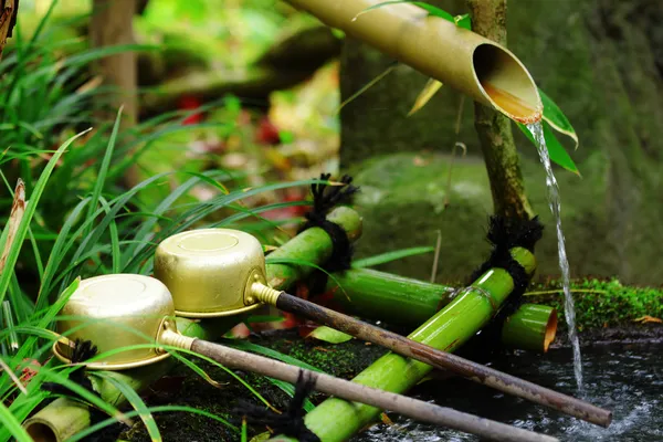 Fonte de água de bambu com concha no templo japonês — Fotografia de Stock