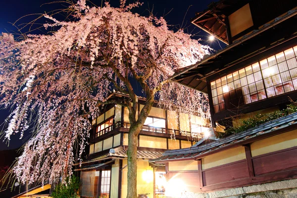 Традиционный японский дом с сакурой ночью — стоковое фото