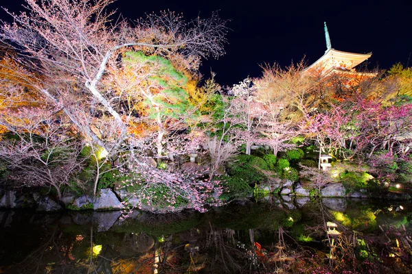 Japansk tempel med sakura om natten - Stock-foto