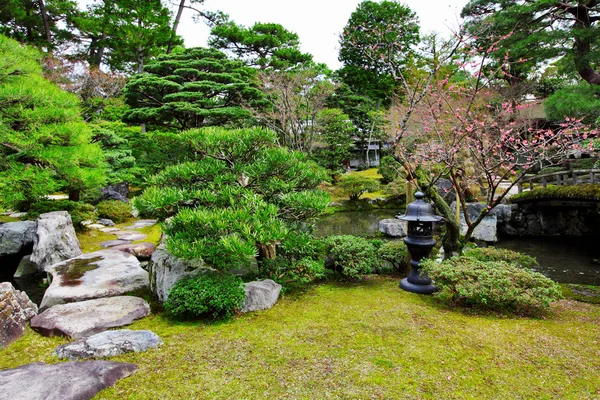 Trädgård i japansk stil — Stockfoto