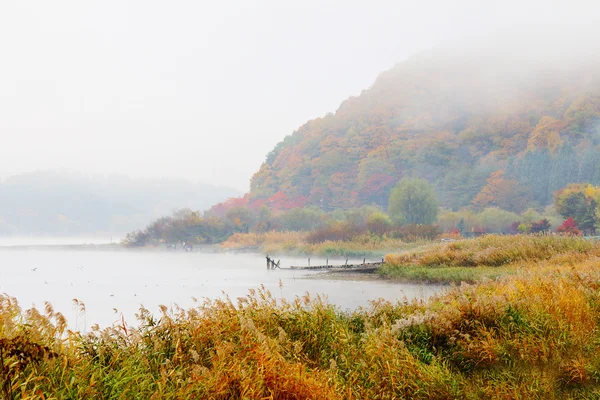Lago nebuloso no outono — Fotografia de Stock