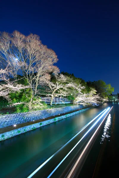 Biwa sjön kanalen med sakura träd på natten琵琶湖运河与樱花树在晚上 — Stockfoto