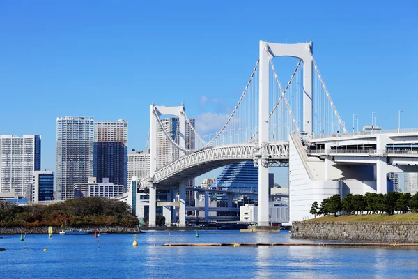 Tokyo downtown — Stock Photo, Image