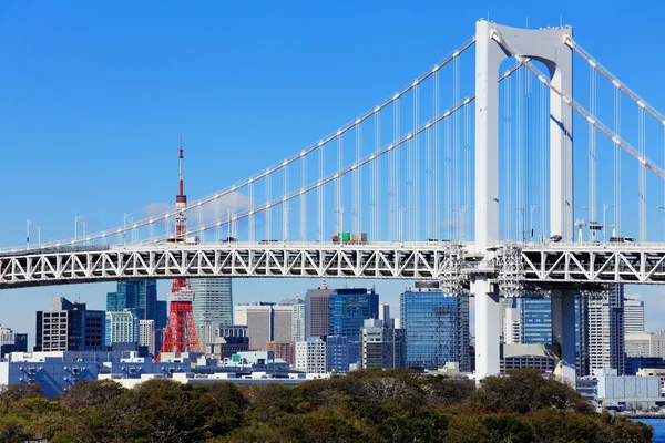 Tokyo skyline — Stock Photo, Image