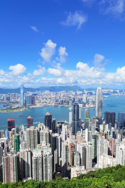 Hong kong Panorama — Stock fotografie