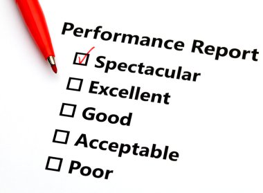 performans raporu