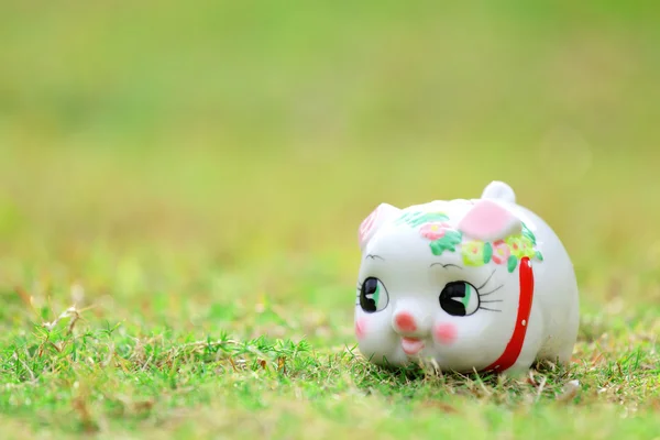 Chinese style piggy bank — Stock Photo, Image
