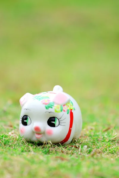緑の草の中国スタイル貯金 — ストック写真