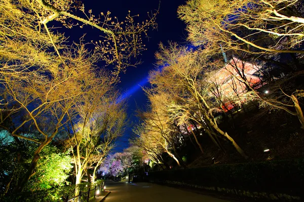 Templo japonês e árvore sakura à noite — Fotografia de Stock