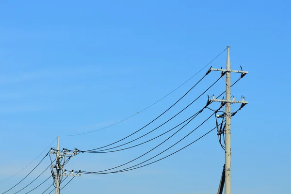 Stromleitungsverteilung — Stockfoto