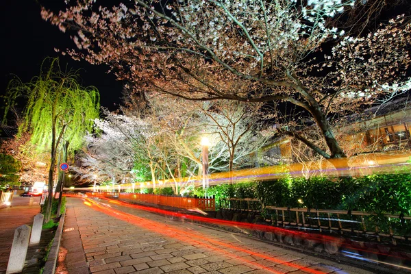 Gião com árvore sakura à noite — Fotografia de Stock