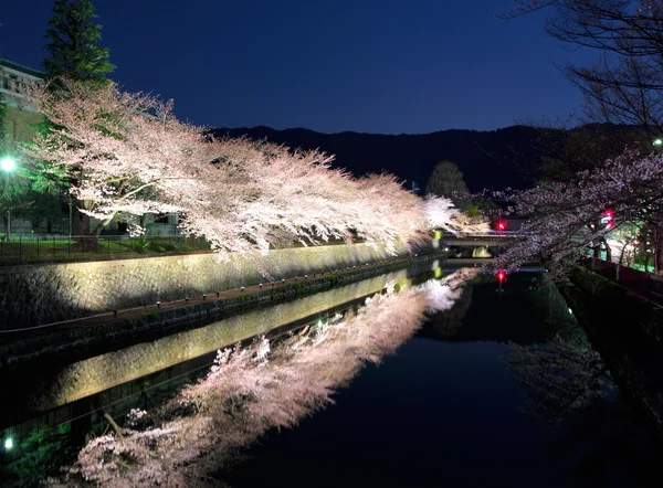 Biwa lake canal with sakura tree at night — Stock Photo, Image