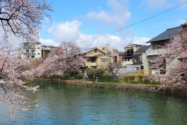 Kyoto boligområde – stockfoto