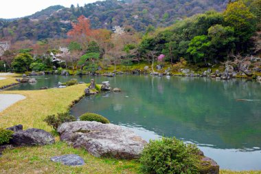 Japon tarzı Bahçe