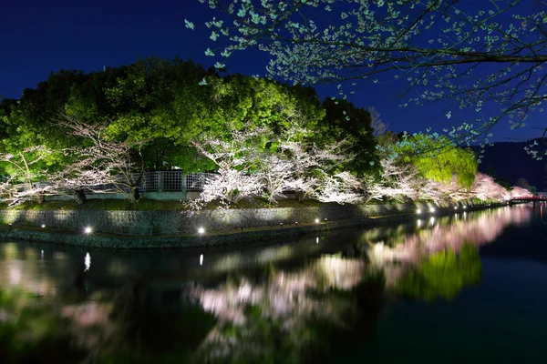 Biwa lake canal with sakura tree — Stock Photo, Image