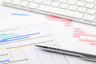 Proje gantt grafiği